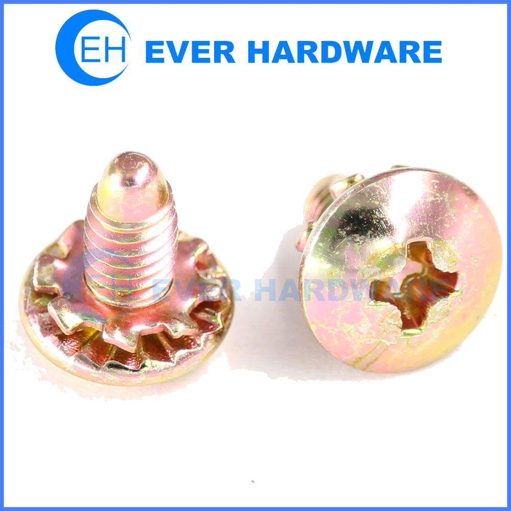 External Thread Washer Screw Phillips Flange Head Round Tip