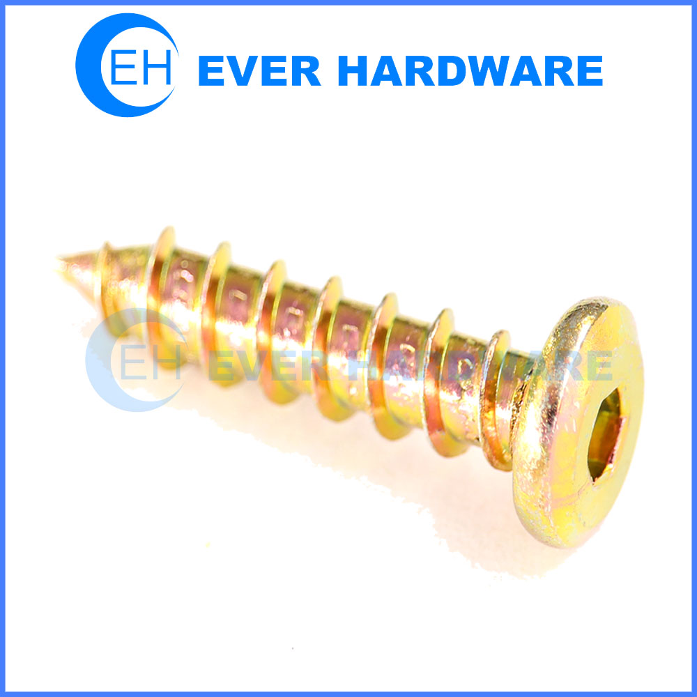 Hex Socket Self Tapping Screw Cheese Head Tip End Plating