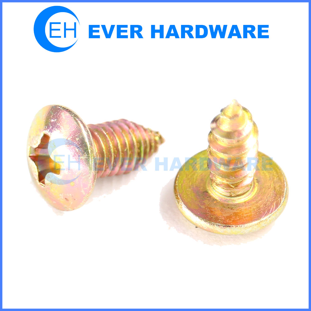 Truss Head Screw Self Tapping Screw Machine Tip Point Galvanizing