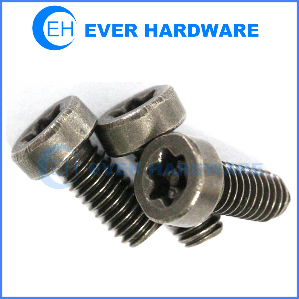 10 Stainless Tamper Proof M4x12 Torx Flat Head Pin in Star Security Screws with Screwdriver