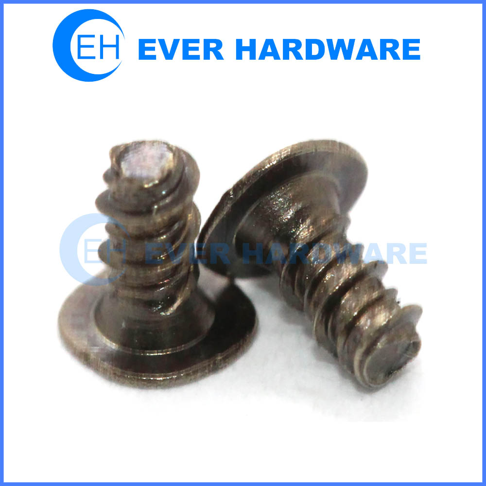 Micro screws small screws for electronics custom screws manufacturer