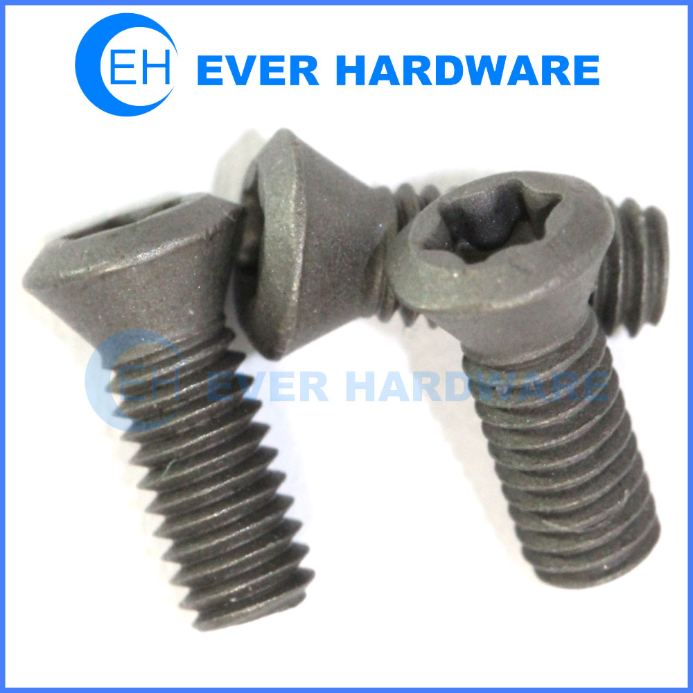 Raised head screw phosphated high tensile torx oval head screws
