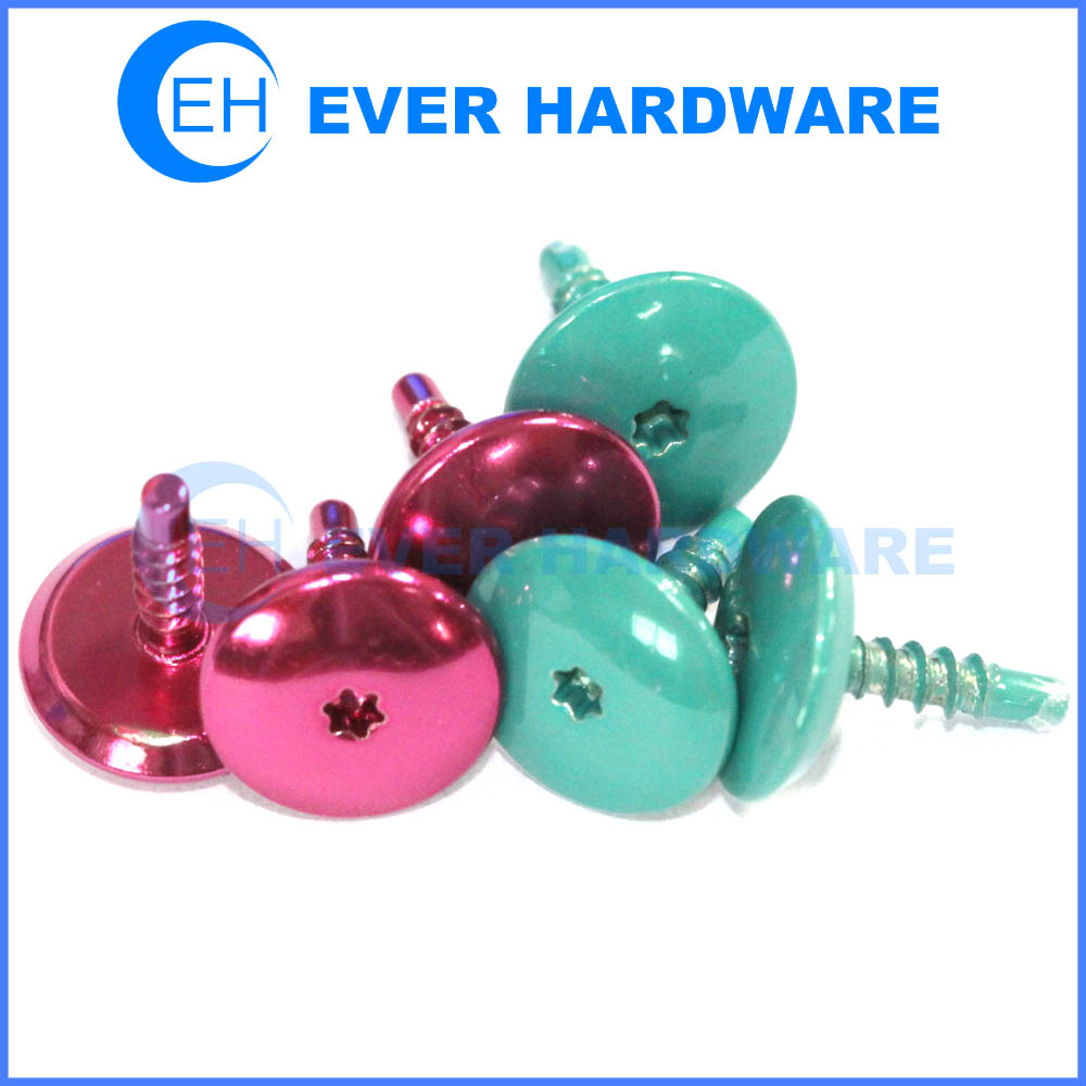 Decorative fasteners colored painting self tapping screws torx head