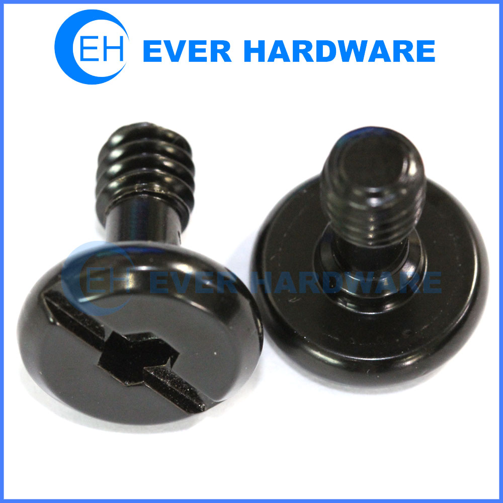 Hex slot screw chamfered round head electrophoresis plate machine screw