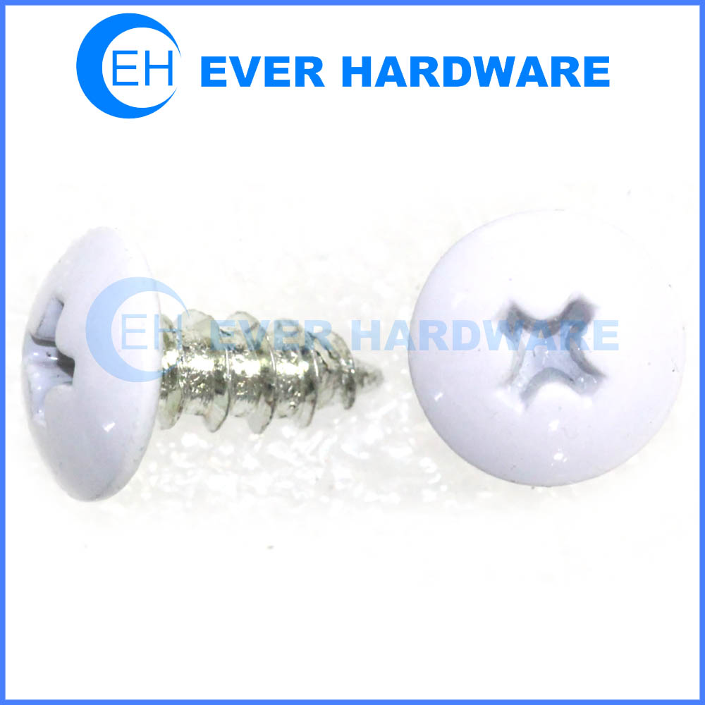 Powder coating metal screws white decoration self tapping screws