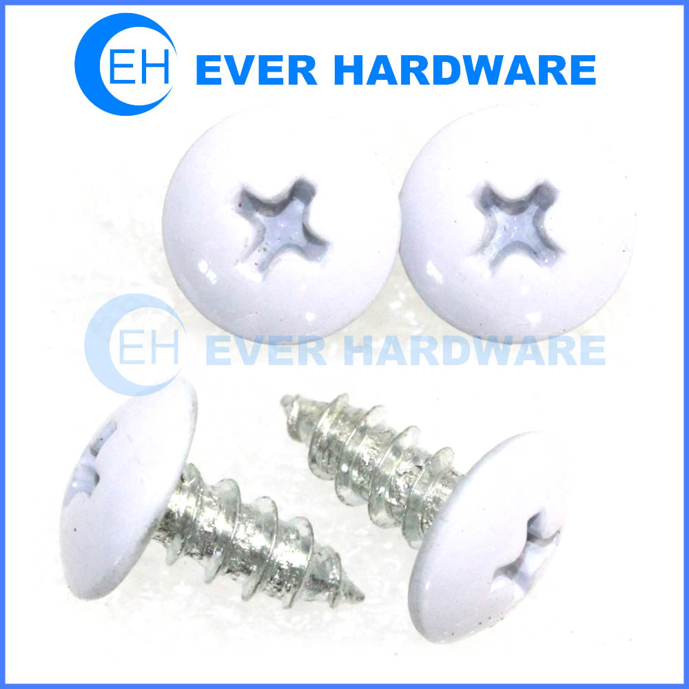 Powder coating screws truss phillips head powder painted head screw