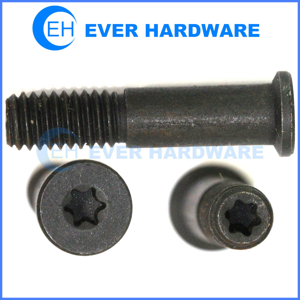 Double bit bolt double torx drive on thread and head black oxide customizable