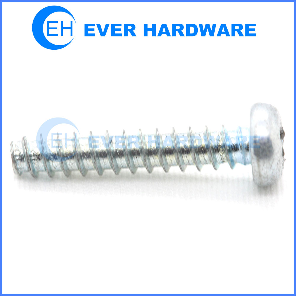 Phillips head self tapping screws cross recessed pan head with flat end