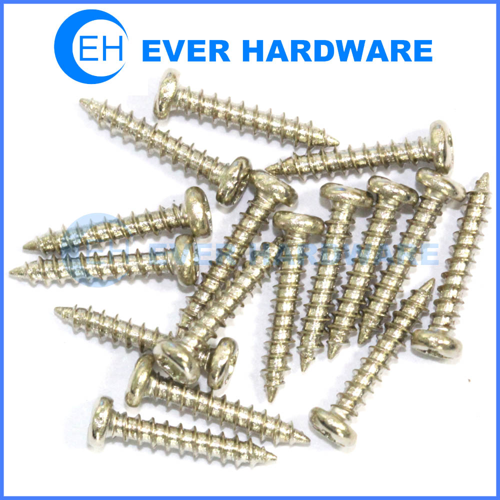 Stainless steel self tapping screws purification pan phillips head for metal