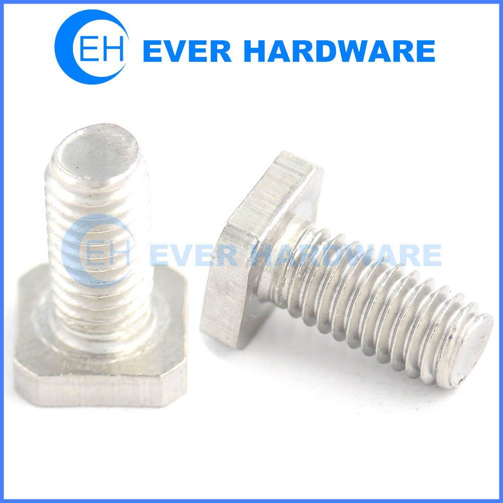 Replacement T bolts stainless steel passivation for channel roof racks custom