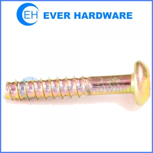 Screw for plastic