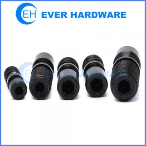 Custom made bolts hexagon socket non standard black plating bolts