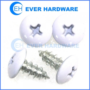 Powder coated screw powder coating fasteners self tapping screws