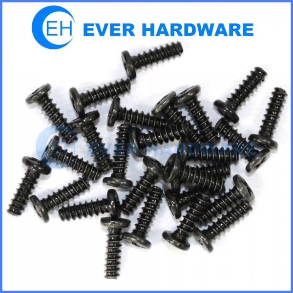 electronics screws wafer phillips Archives - Ever Hardware Industrial ...