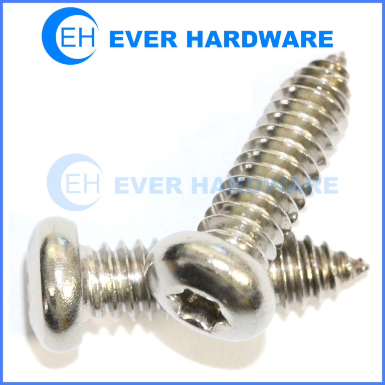 Taptite thread forming screw torx pan head stainless steel 304 316 410