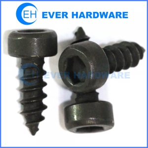 Cap head speaker screws black plated hexagon socket wood threaded fixing screw