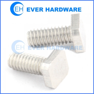 Square machine bolts stainless steel T slot bolt for corrugated machinery