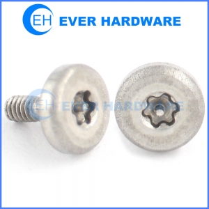 Torque head screws tamper proof machine security screw ss passivation