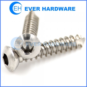 Precision Screw Machining Hex Socket Raised Head Thread Cutting SS