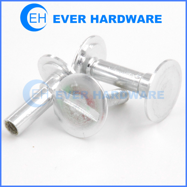 Chicago Bolts Stud Rivet Purse Belt Strap Fastener Binding Post Screw